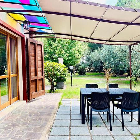 Agriturismo Salcino Гросето Екстериор снимка
