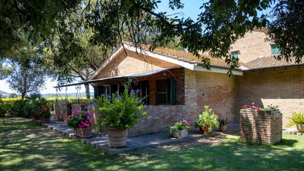 Agriturismo Salcino Гросето Екстериор снимка