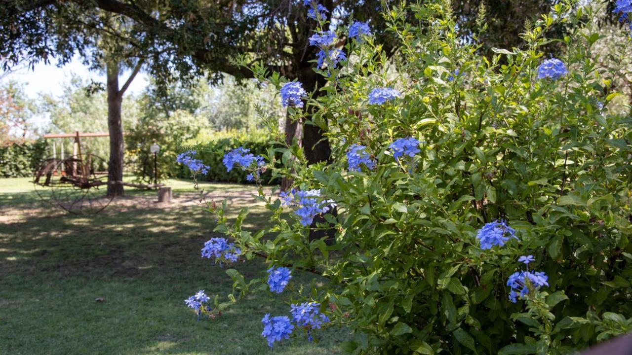 Agriturismo Salcino Гросето Екстериор снимка