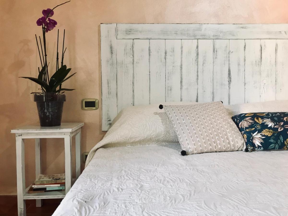 Agriturismo Salcino Гросето Екстериор снимка
