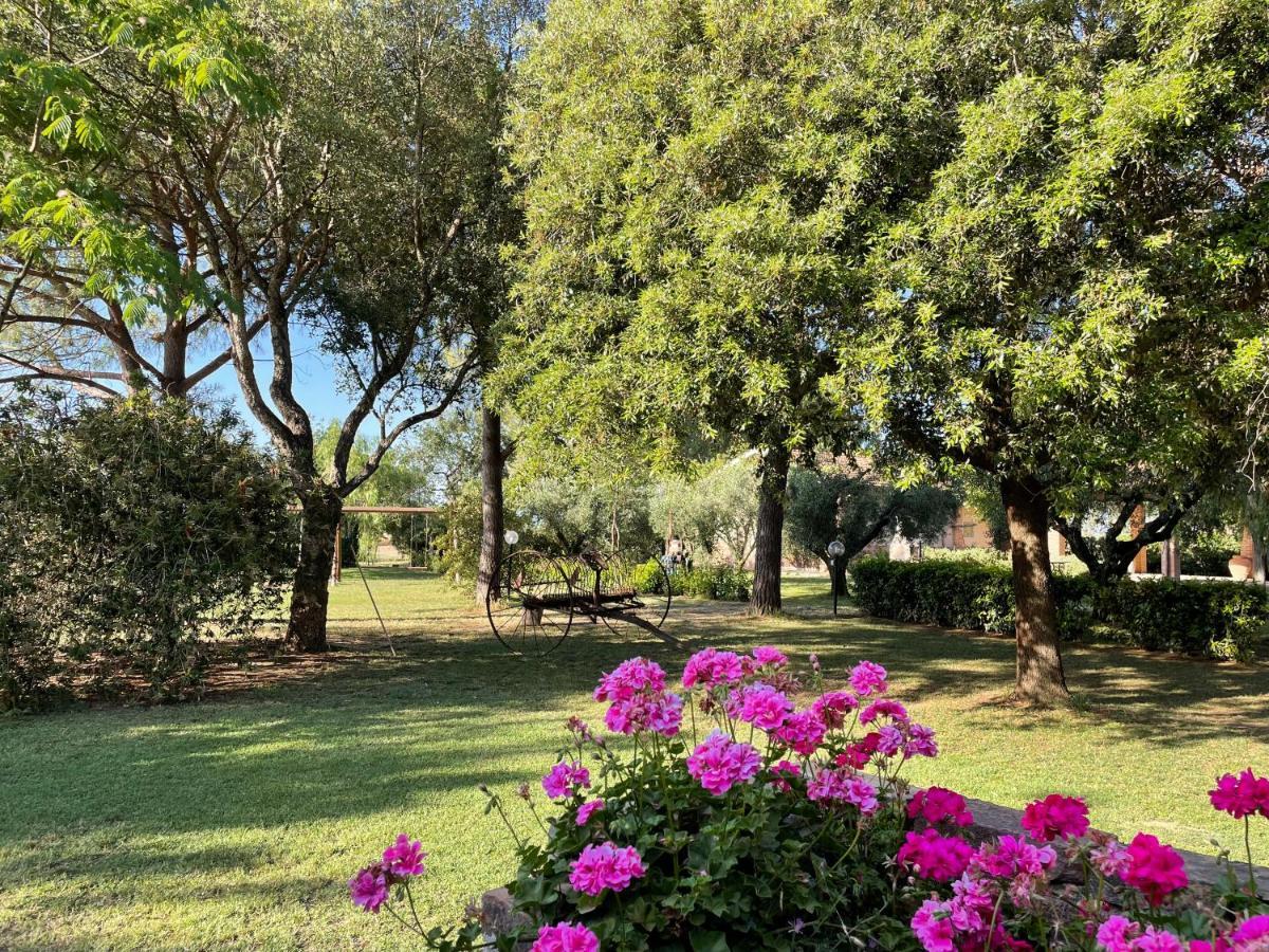 Agriturismo Salcino Гросето Екстериор снимка