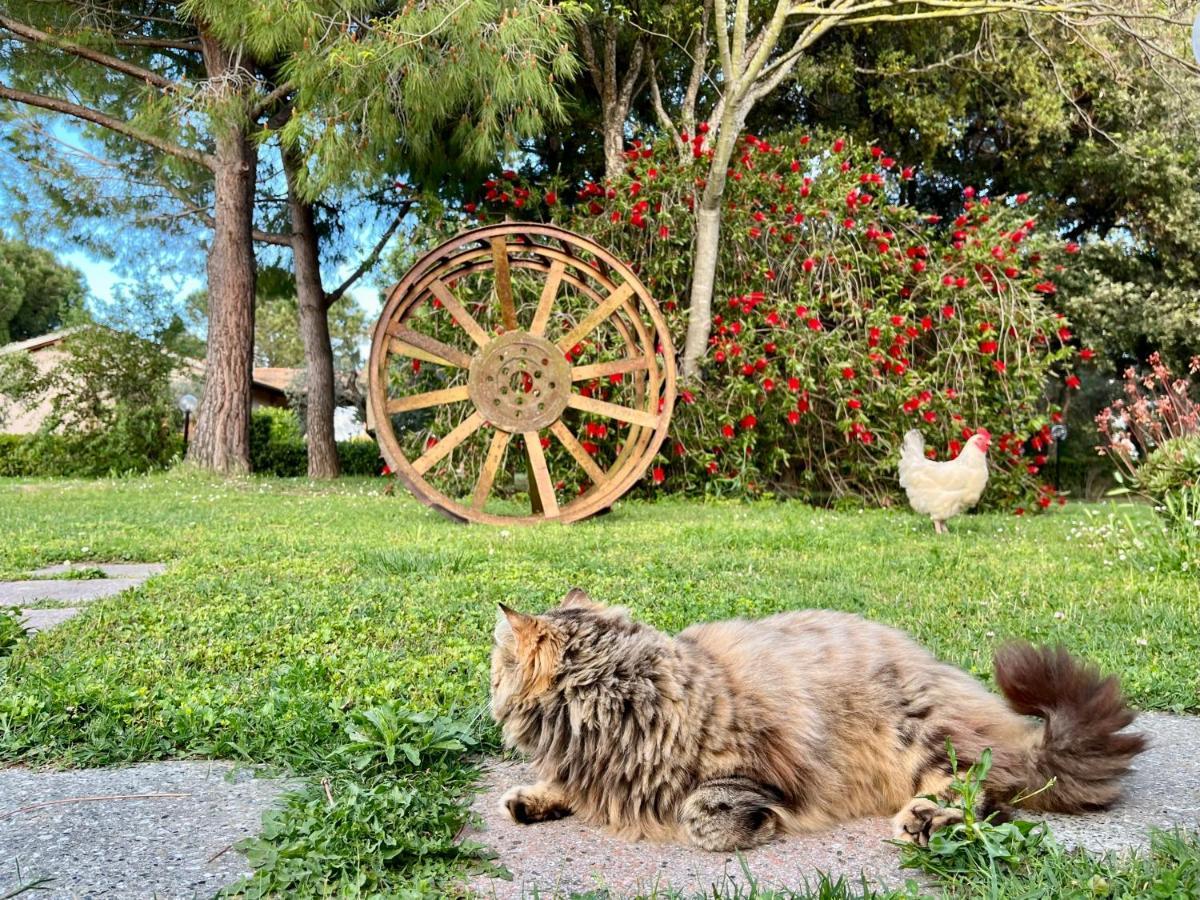 Agriturismo Salcino Гросето Екстериор снимка