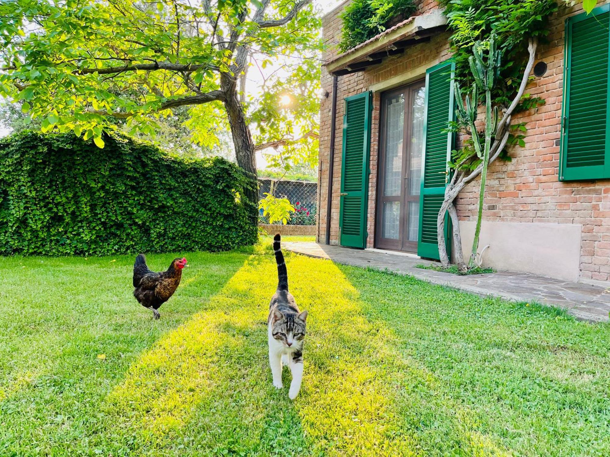 Agriturismo Salcino Гросето Екстериор снимка