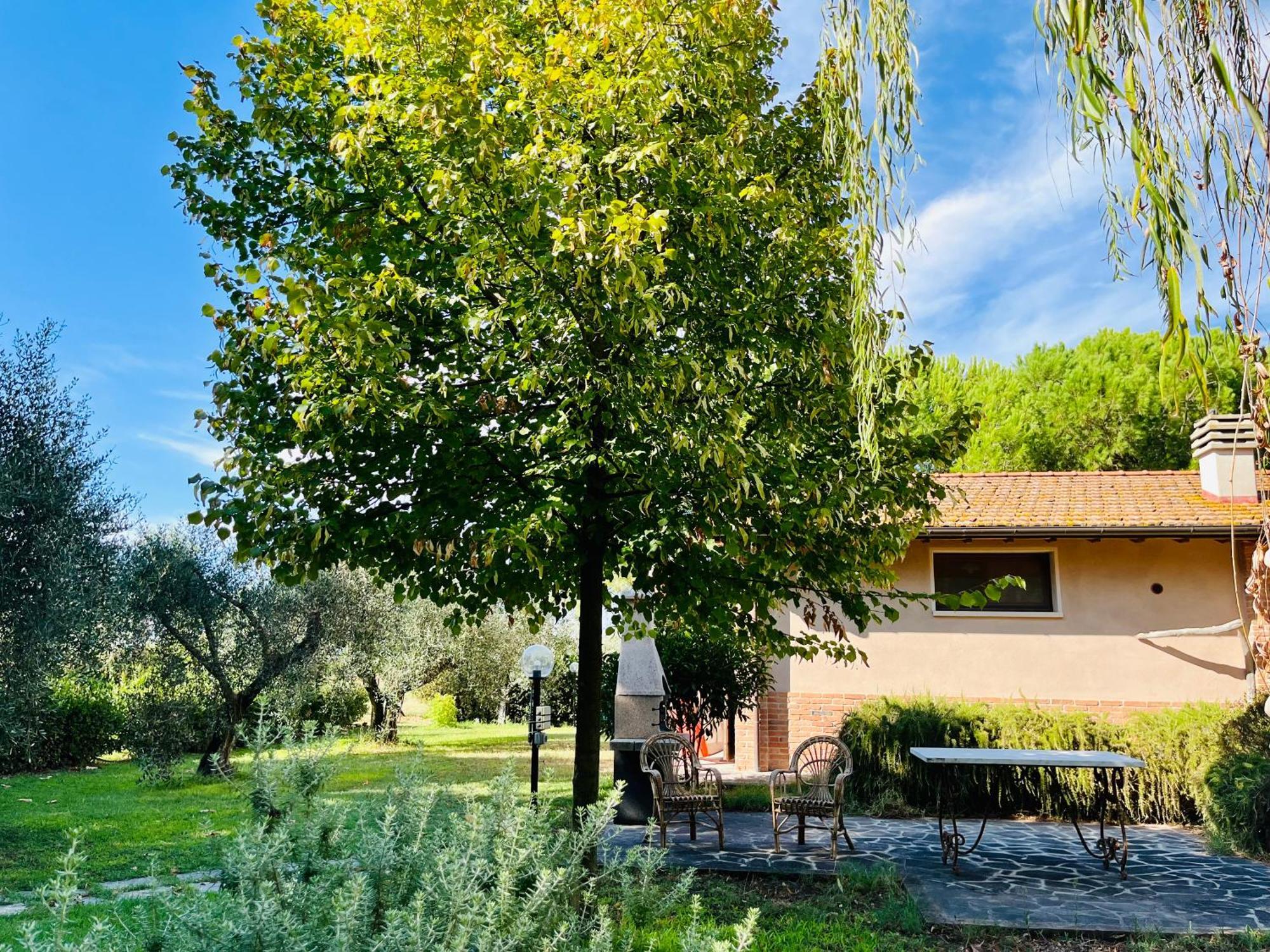 Agriturismo Salcino Гросето Екстериор снимка