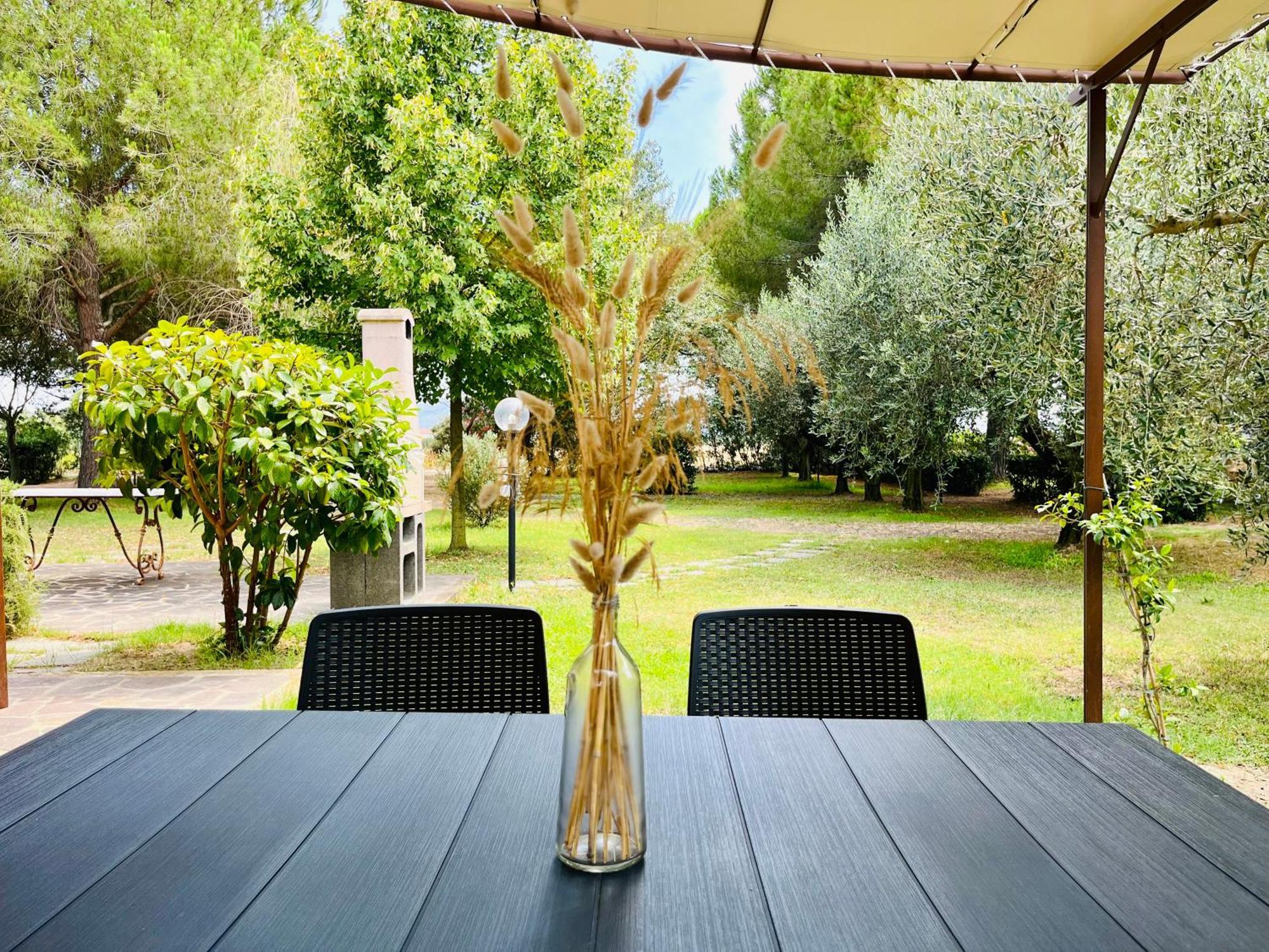 Agriturismo Salcino Гросето Екстериор снимка